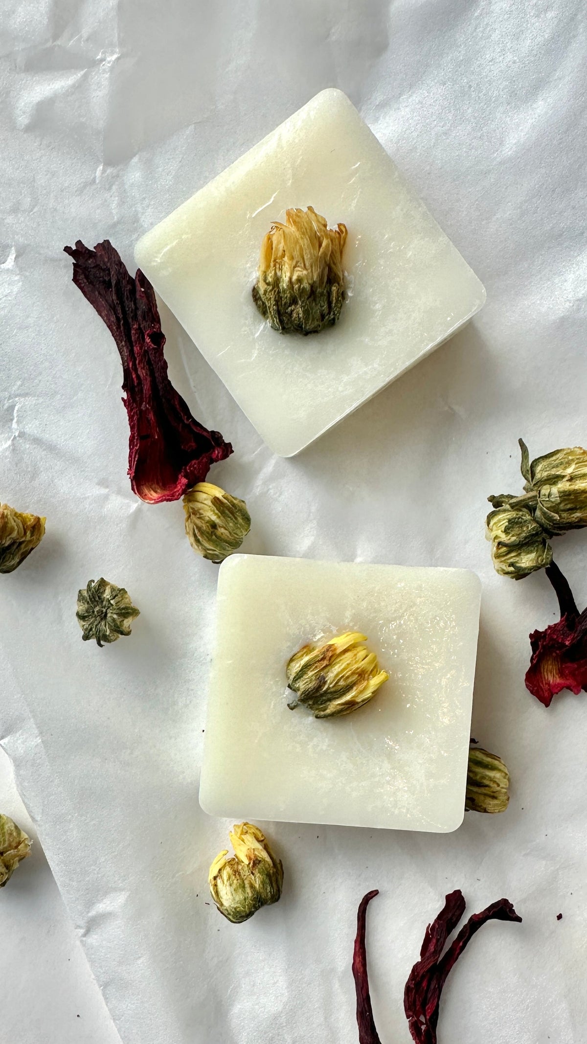6pc Scented Coconut Soy Wax Melt Selection | Handcrafted Natural Fragrances | 1ofSeven