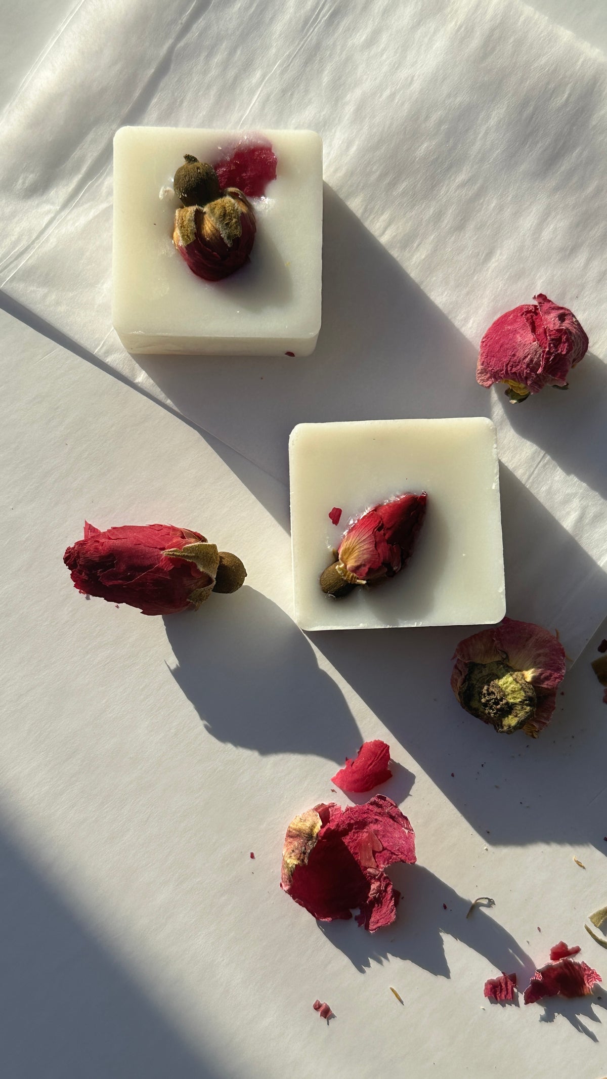 6pc Scented Coconut Soy Wax Melt Selection | Handcrafted Natural Fragrances | 1ofSeven
