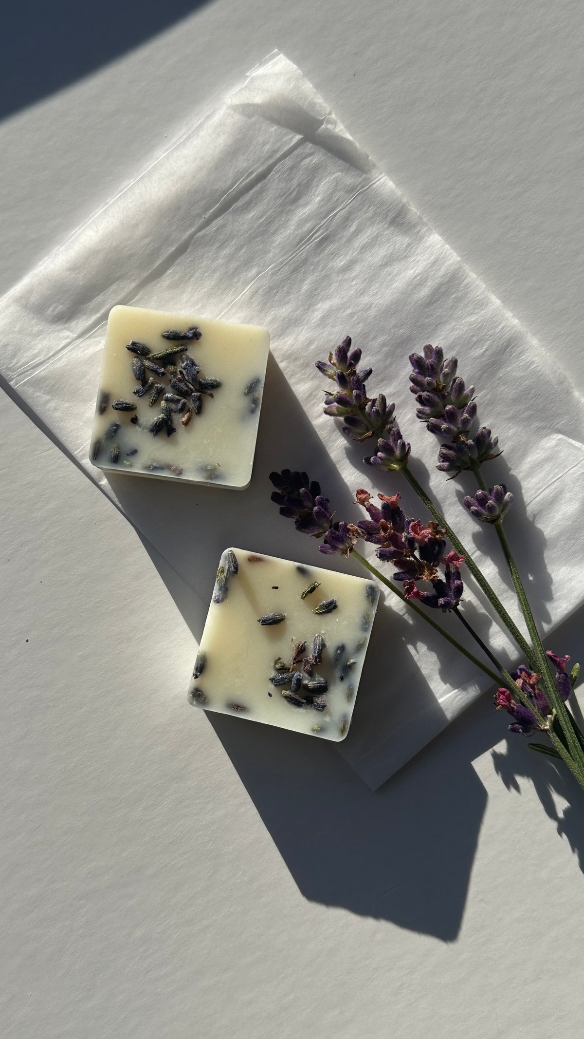 6pc Scented Coconut Soy Wax Melt Selection | Handcrafted Natural Fragrances | 1ofSeven