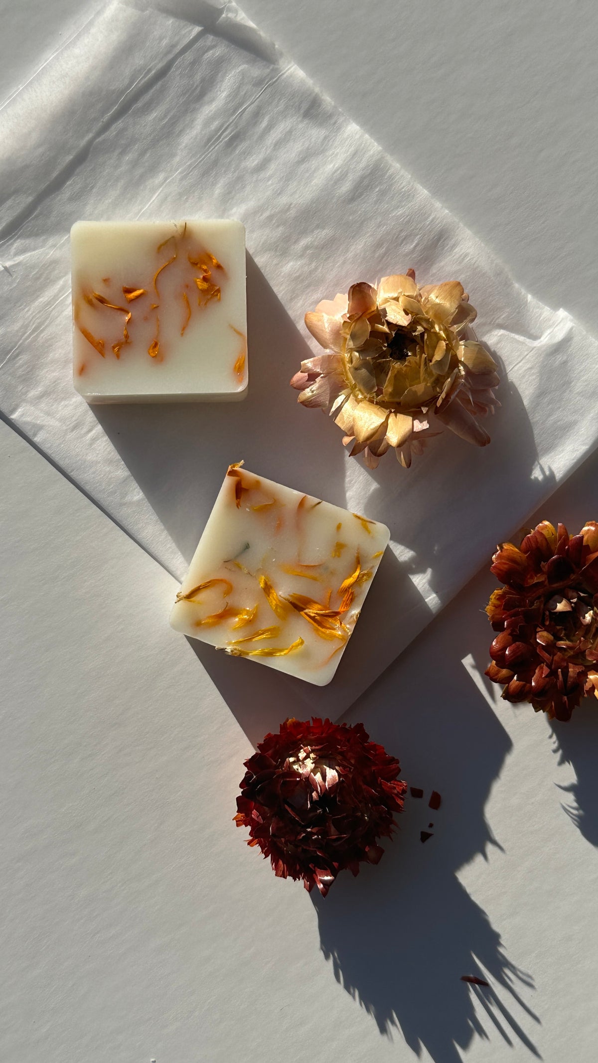 6pc Scented Coconut Soy Wax Melt Selection | Handcrafted Natural Fragrances | 1ofSeven