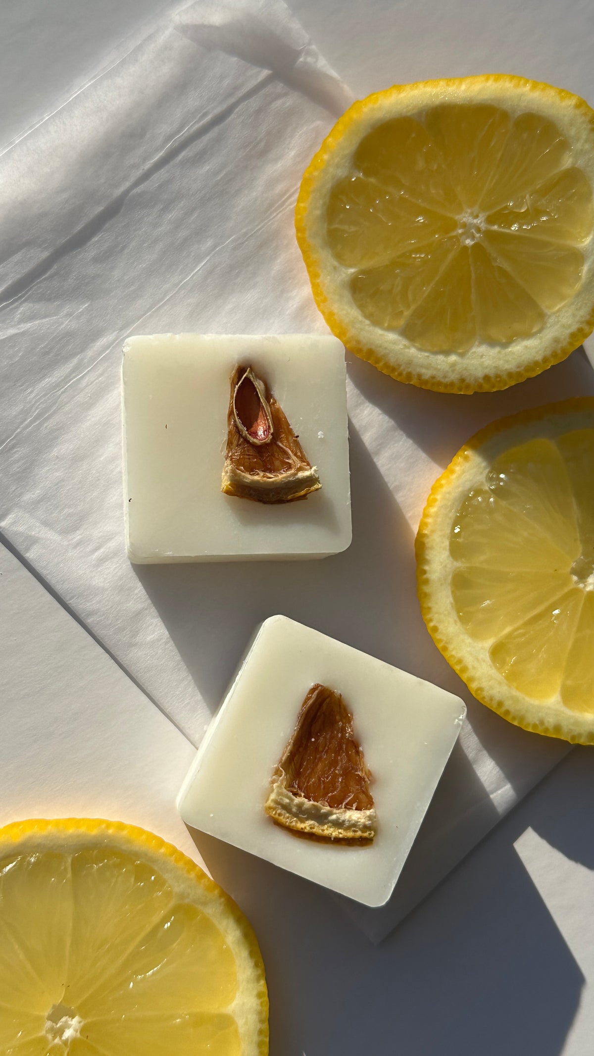 6pc Scented Coconut Soy Wax Melt Selection | Handcrafted Natural Fragrances | 1ofSeven